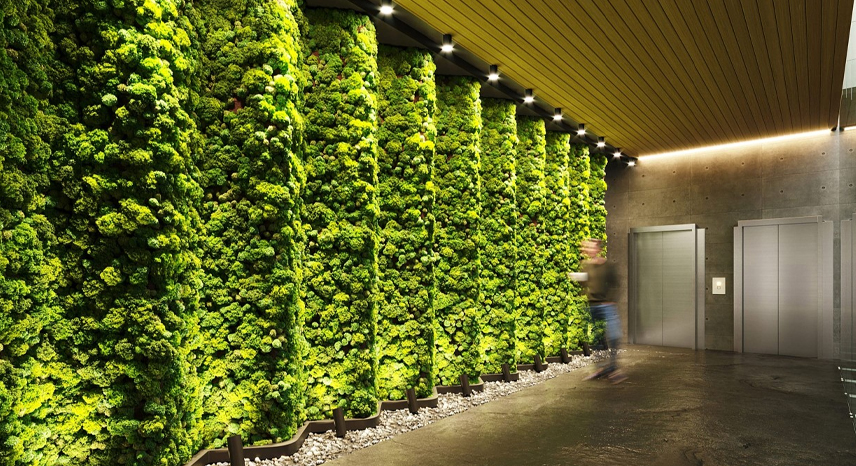 _0017_Biophilic Design_ Bringing Nature Indoors for Enhanced Well-Being