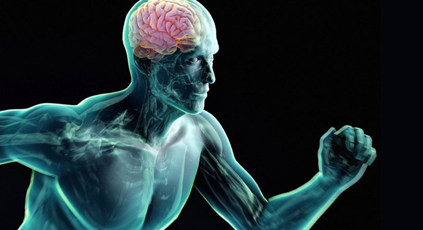 _0016_Mental Fitness_ How Exercise Boosts Your Brainpower Naturally